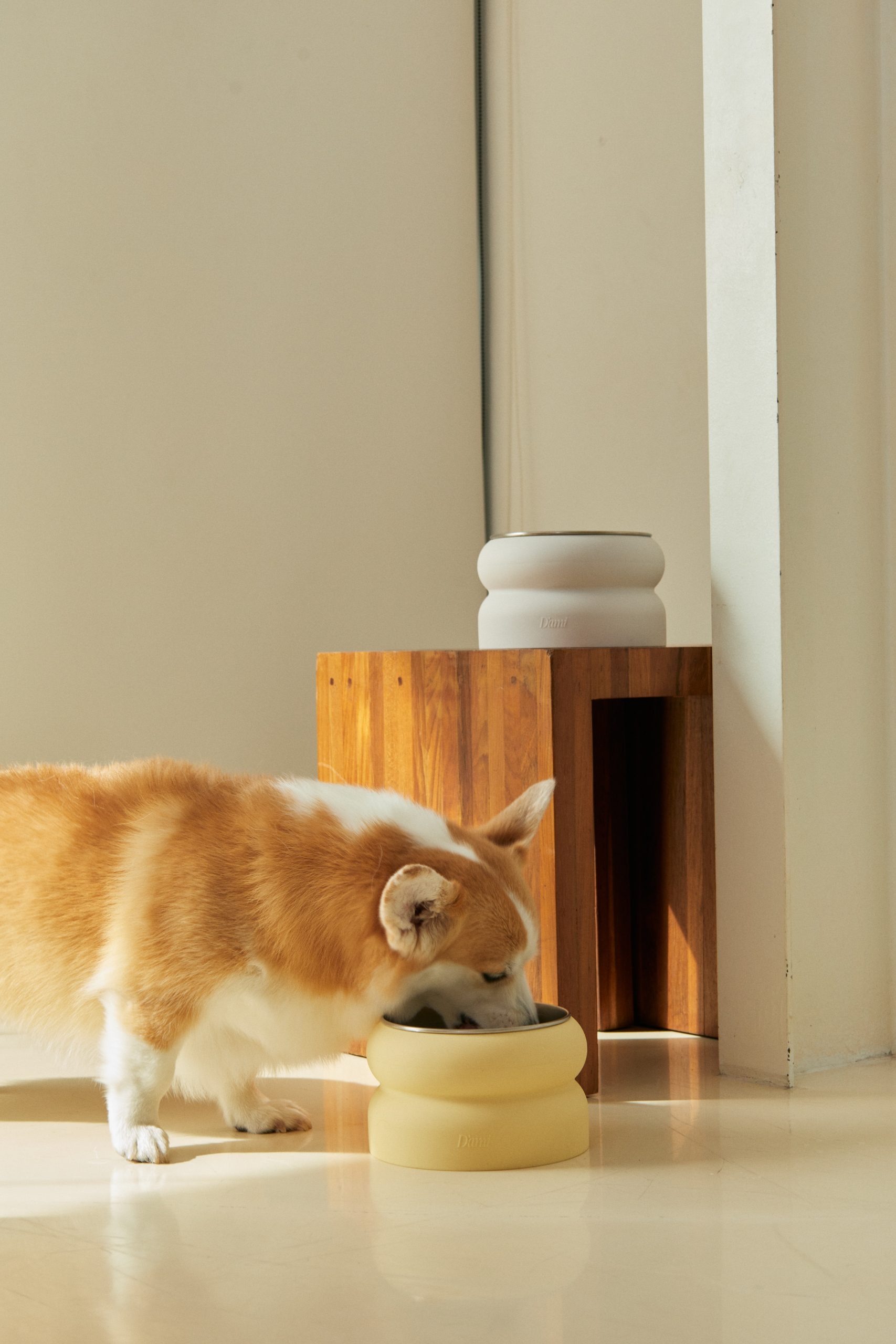 D'ami Elevated Pet bowl for your home