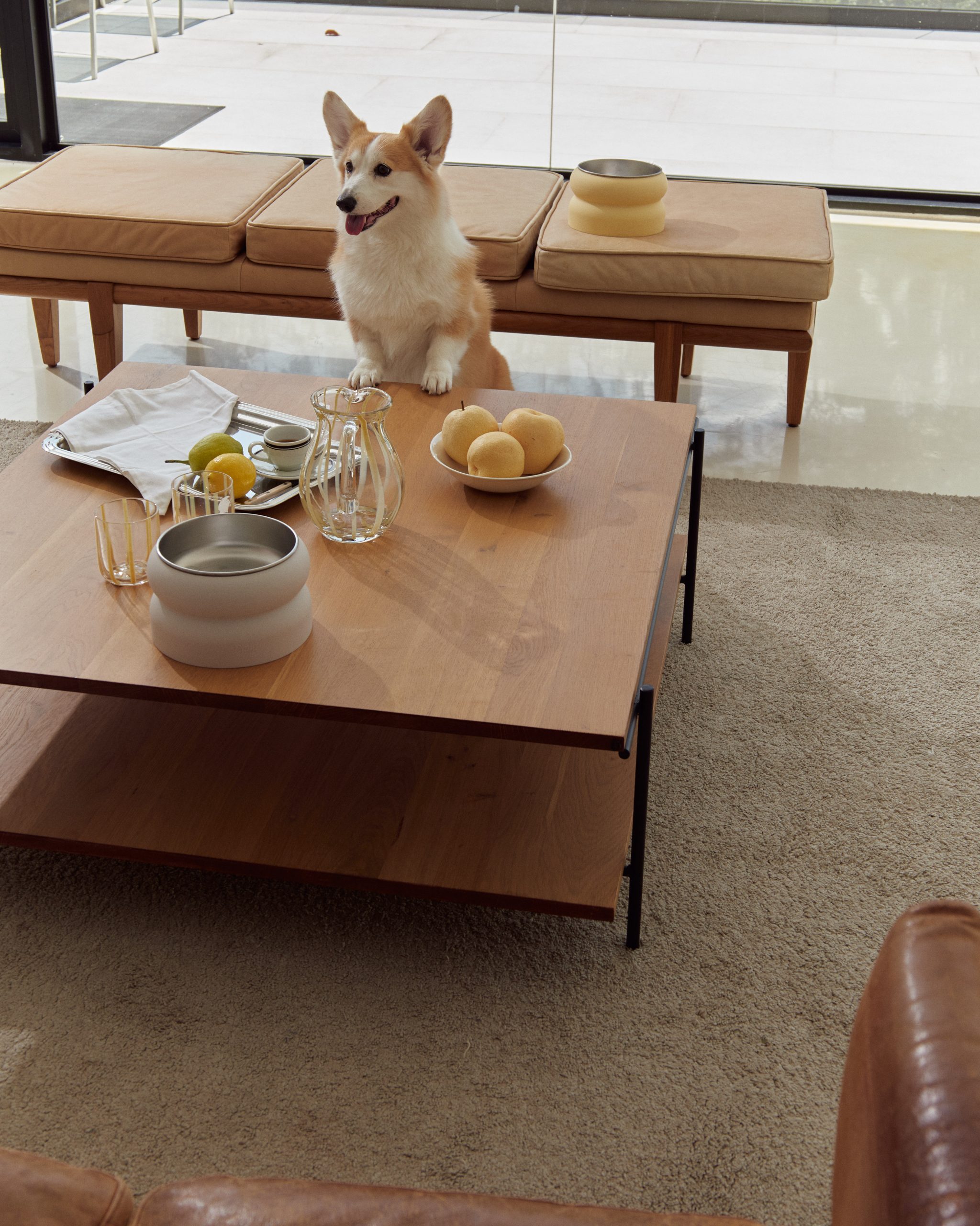 D'ami Elevated Pet bowl for your home